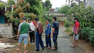 Ular Kobra Merajalela di Perumahan Cluster Mutiara Tigaraksa