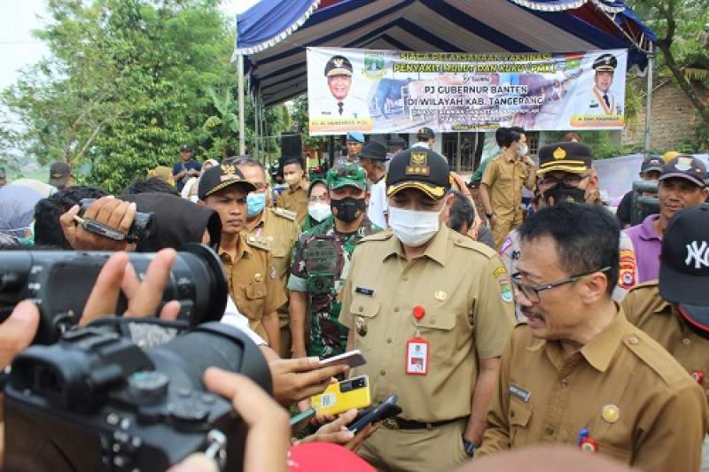 Bupati Bersama Kadis Pertanian Kunjungi Vaksinasi PMK Bagi Sapi