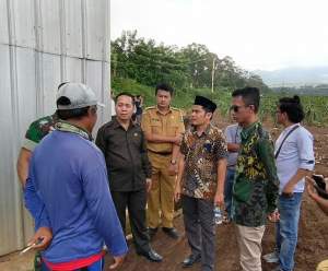 Komisi I Akan Panggil Pengusaha Perkebunan Buah Naga