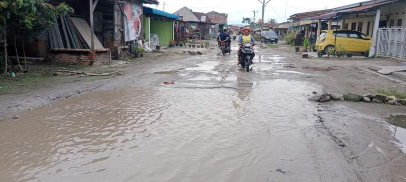 Warga Serdang Bedagai Minta Perhatian Jokowi Soal Jalan Provinsi Rusak Parah
