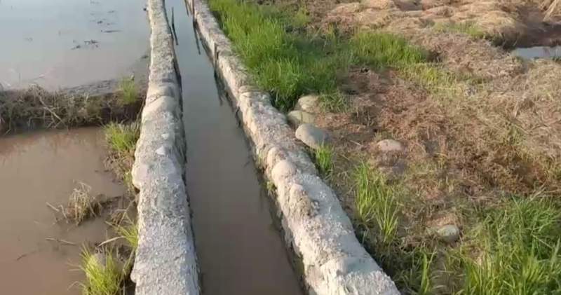 Angaran DAK Rp20 Miliar Dialihkan untuk Proyek Swakelola, Ini Kata Kadis Pertanian Serdang Bedagai