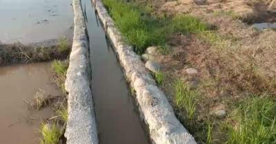 Angaran DAK Rp20 Miliar Dialihkan untuk Proyek Swakelola, Ini Kata Kadis Pertanian Serdang Bedagai