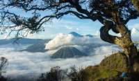 Bromo Tengger Semeru Jadi Taman Nasional Ketiga Terindah di Dunia Menurut Bounce 2023