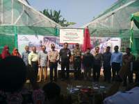 ⁠⁠⁠Pertamina MOR III Kembangkan CSR Tanaman Sayuran Hydroponic dengan Sistem Green House