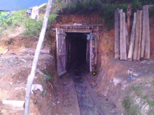 Taruhan Nyawa Sekadar Sesuap Nasi