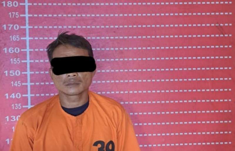 Pelakukan pencurian motor ditangkap Polsek Firdaus. (istimewa).