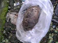 Granat Nanas yang ditemukan warga.