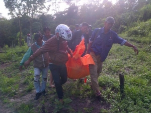 Pulang Dari Jawa, Mat Sauni Ditemukan Meninggal Ditengah Kebun