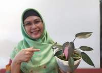 Dukung Pemulihan Ekonomi, Putri Wapres Gagas Gerakan Indonesia Berhias