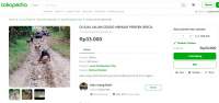Warga Pandeglang Jual Jalan Rusak di Tokopedia Rp33.000