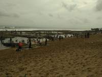 Kawasan Wisata Pulo Manuk Makan Korban