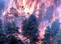ilustrasi kebakaran