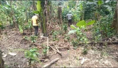 Terkena Dampak Limbah, Warga Desa Kadubereum Minta Perusahaan Tanggung Jawab