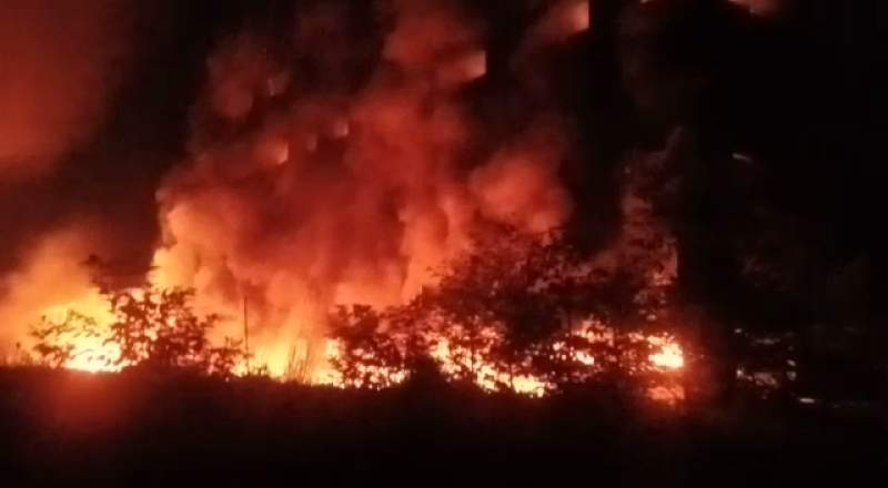 PT Mitra Bangun Cemerlang Rugi Hingga 200 M