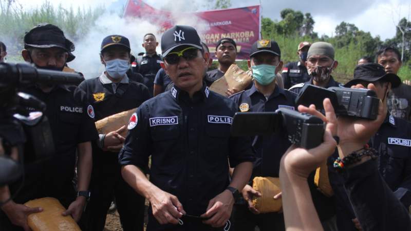 Bareskrim Polri Musnahkan 5 Hektare Ladang Ganja di Sumut