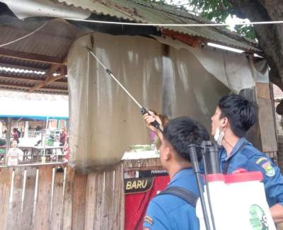 Ulat Bulu Resahkan Warga Cikupa Tangerang