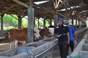 Karyawan PT APK Minta Dinaikan Gaji