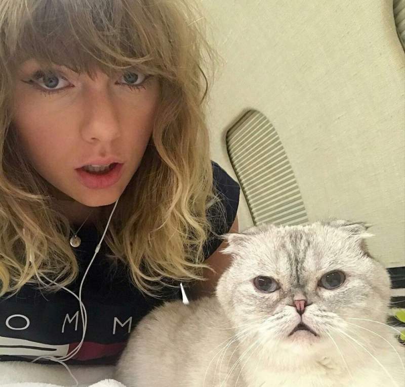 Kucing milik bintang pop dunia Taylor Swift bernama Olivia Benson. Kucing ini memiliki kekayaan Rp 15 triliun.