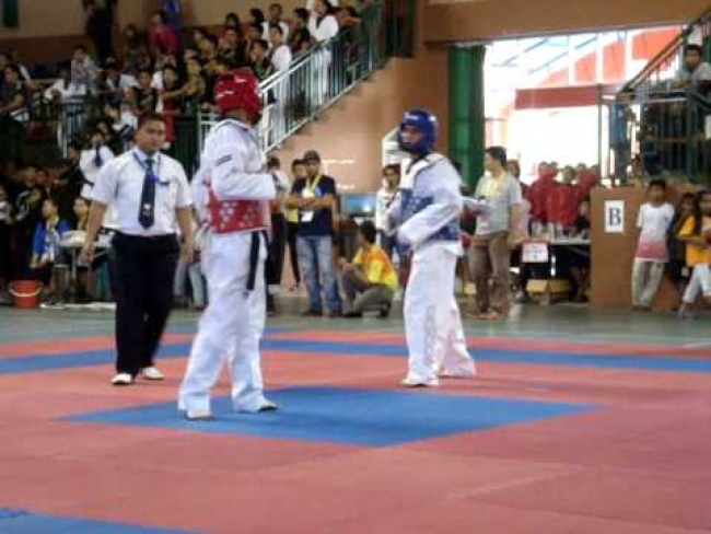 Opar: Persaingan Taekwondo Merata