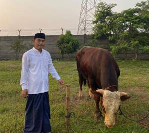Wabup Tangerang H Mad Romli Salurkan 22 Ekor Sapi Kurban