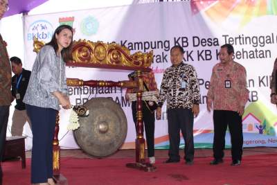 Pemkab Tangerang Canangkan 19 Kampung KB dan Kesatuan Gerak PKK KB 2018