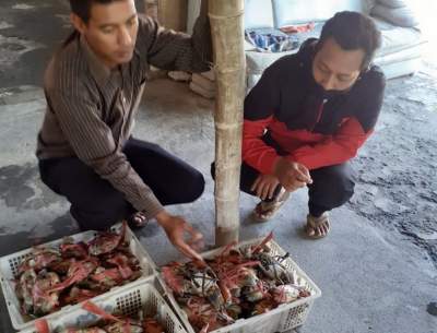 Pentingnya Roadshow Konsolidasi Nelayan Penyelam: Lobster dan Snorkeling