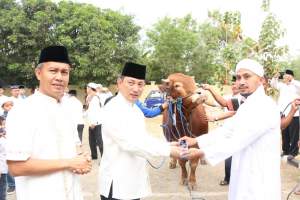 Polda Banten Sebar 81 Hewan Kurban
