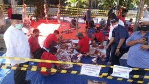 : Moh Saleh Asnawi saat memantau proses pemotongan hewan kurban di Lubana Sengkol.