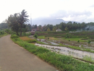 Pengembangan Kawasan Agrowisata Di Citeureup Terhambat Klaim Lahan