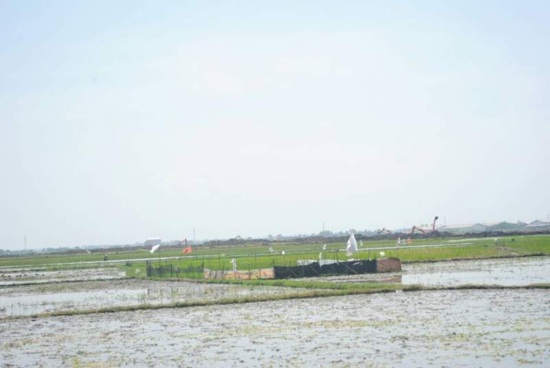 Lokasi pergudangan PT BLP yang izinnya disoal