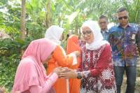 Kabupaten Lebak Fokus Pada Pemerataan Pembangunan