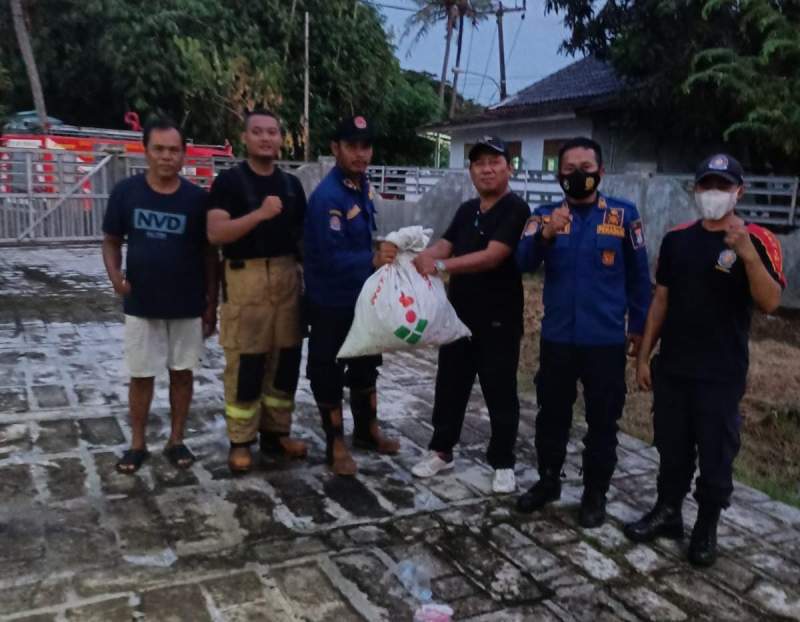 Resahkan Warga, 2 Sarang Tawon Raksasa di Desa Kedung Dimusnahkan