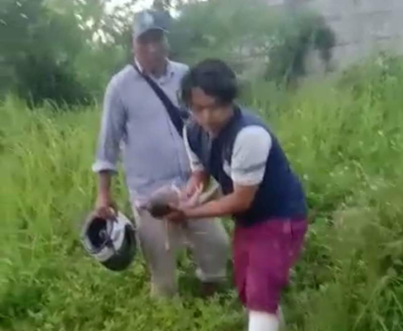 penemuan bayi di semak-semak