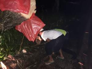 Anggota Polsek Cimarga, Polres Lebak, Bantu Warga Potong Pohon Tumbang