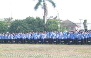 BKPP Cuma Janji-Janji Penetapan CPNS Molor Lagi