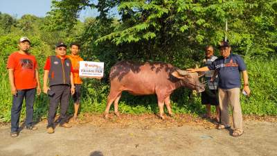 Target 2.3 Juta Paket Daging Kurban se Indonesia, PKS Banten Berkurban 603 ekor Hewan Kurban