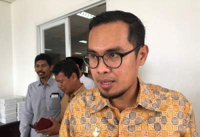Wakil Walikota Tangsel, Pilar Saga Ichsan