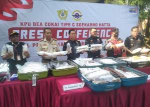 Petugas menggelar rilis dalam upaya menggagalkan penyelundupan 174.000 ekor benur ke Singapura melalui Bandara Internasional Soekarno-Hatta, Tangerang, Banten.