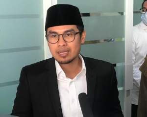 Wakil Walikota Tangerang Selatan, Pilar Saga Ichsan