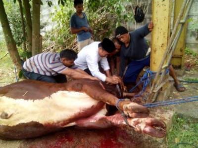 Ketua DPRD Kabupaten Tangerang Mahir Sembelih Hewan Qurban
