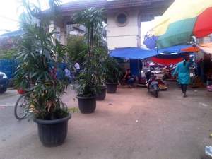 PD Pasar Tanami Pohon di Area Pasar Anyar