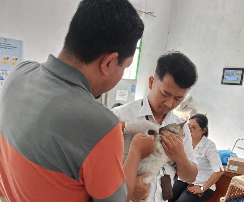 Cecah Rabies, Pemkab Sergai Gencarkan Vaksinasi Hewan