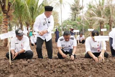 Pj Bupati Tangerang Tanam Bibit Cabai di Desa Kohod