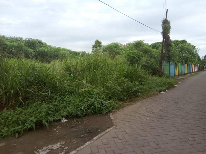 PDAM TB Diduga Lakukan Penyimpangan Anggaran Pembongkaran Makam, P4TRA : Kami Akan Lapor ke APH