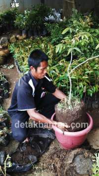 Pegawai SPBU Ciptakan Varian Tanaman Baru