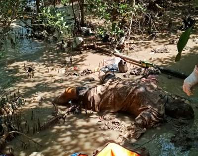 Polisi Selidiki Penemuan Mayat Tanpa Identitas