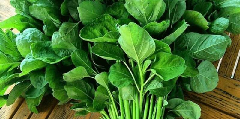 Bunda Yuk Dicatat, Ini 8 Masakan Tak Disarankan Dihangatkan Kembali