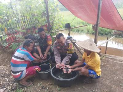 Beri Motivasi, Babinsa Panongan Dampingi Peternak Lele