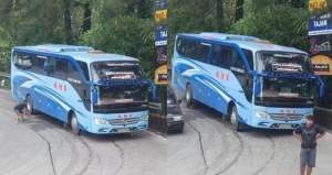 Aksi Heroik Tim PKJR Tuai Pujian Warganet