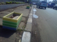 250 Pot Bunga Hias Kotak Siap Hiasi Kota Serang